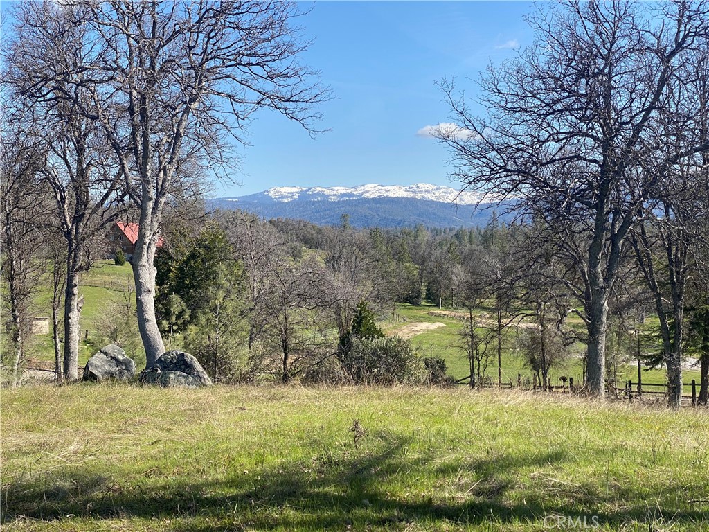 The location of the is parcel is ideal for numerous reasons. Amazing views with a unique perspective of Shuteye Peak. The location provides a secluded mountain getaway with the benefits of paved access in an 8 parcel subdivision. The proximity to Bass Lake, North Fork, Fresno, Oakhurst, and all that the Sierra Nevadas have to offer make the property truly amazing. The property is gently sloping with a knoll that provides the perfect spot to take in the views and relax into nature. Power is on the property.