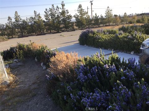 A home in Pinon Hills