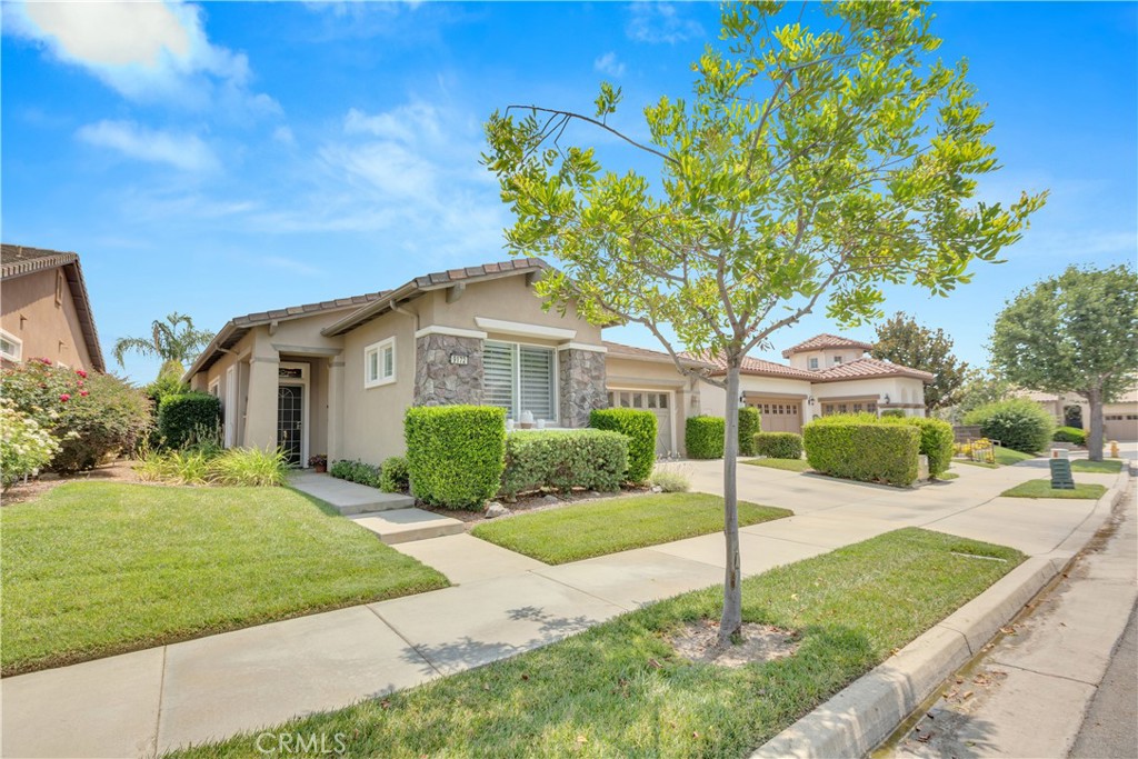 Trilogy - Residential