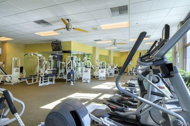 Trilogy - Residential