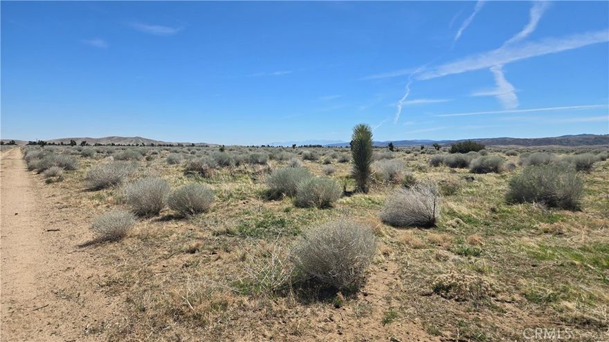 Beautiful west Antelope Valley parcel! 4.65 Acres in the Fairmont area fronting onto Avenue E. A lovely pastoral setting with views of the foothills and mountains. Level and usable land with desirable A-2 Heavy Agriculture zoning. A beauty! *Buyer to make their own independent investigations regarding Zoning & General Plan Designations, Environmental & Hazard Zones, Access & Development Costs, Availability & Costs of Utilities.