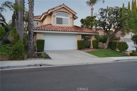 A home in Laguna Hills