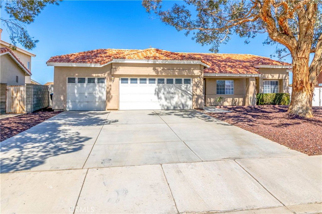 17140 Jurassic Place