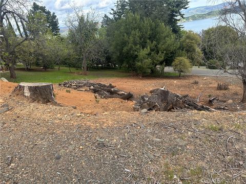 Photo of 3657 Fircrest Court, Kelseyville, CA 95451 (MLS # LC25073459)