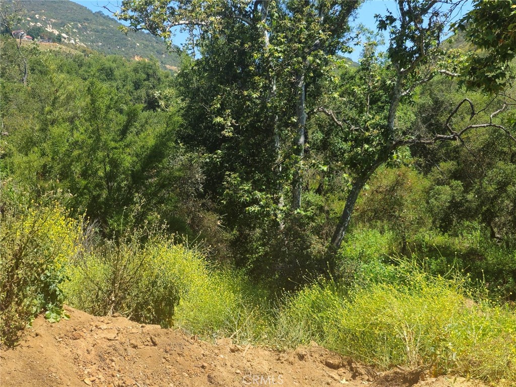 Fallbrook - Land