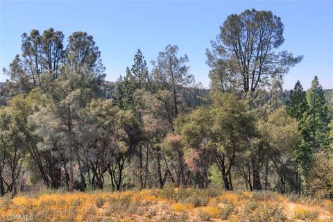 A home in Mariposa