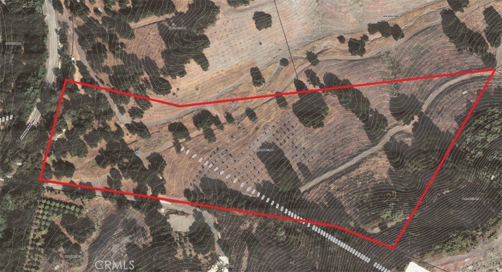 6 Avenida Del Oro