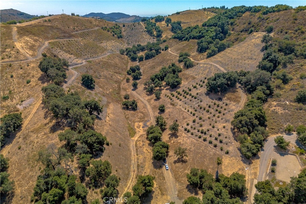 6 Avenida Del Oro