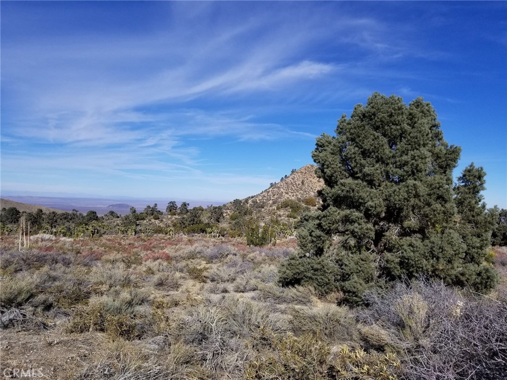 This is an incredible opportunity to own a beautiful 10 acres property in the rural and serene Antelope Valley area in Southern California. The property is far enough from everything to feel like you are in the county but still accessible to modern day amenities. The Vacant land is between Palmdale and Victorville and about 40 minutes to the Valley Central Shopping Center, Antelope College, Palmdale Regional Airport and the 14 freeway in the Palmdale/Lancaster area.