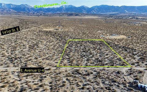 Photo of 0 E E Avenue U4, Pearblossom, CA 93553 (MLS # IV25039072)