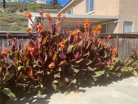 A home in Lake Elsinore