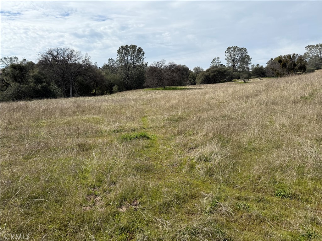 Duplex lot in Oakhurst, water, power and sewer stubed out to lot will take a raised foundation owner financing
