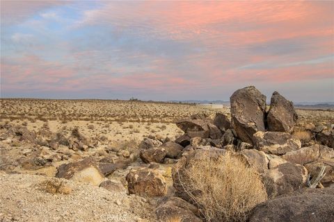 A home in Joshua Tree