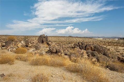 A home in Joshua Tree