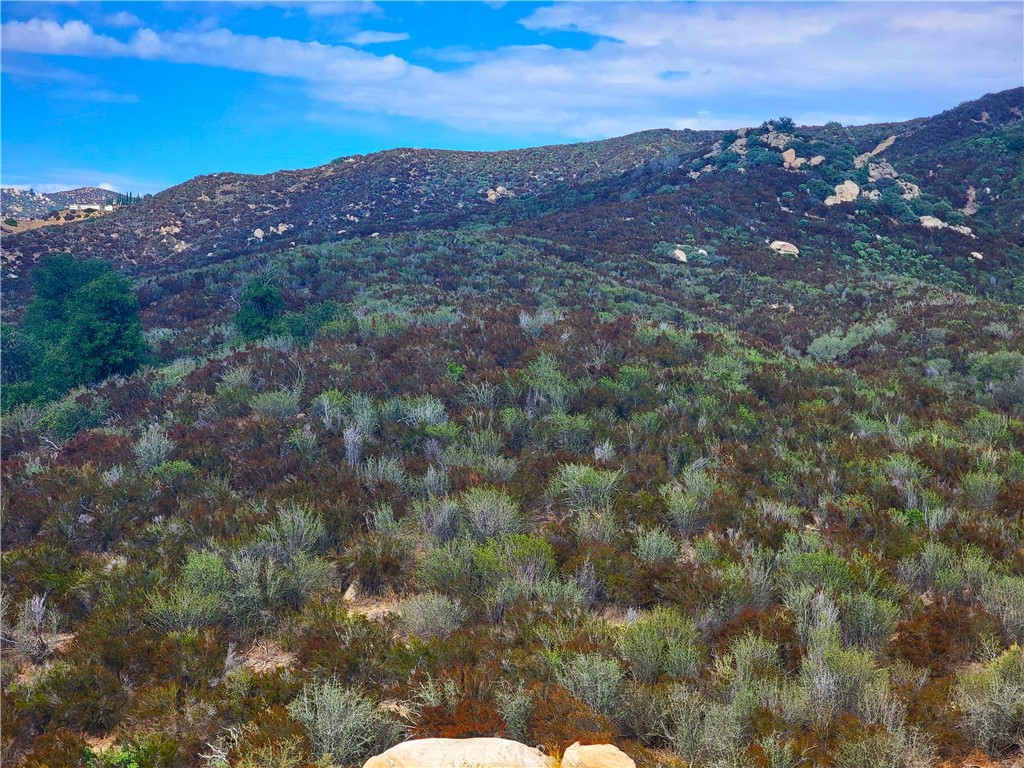 ,POPPET FLATS - Land