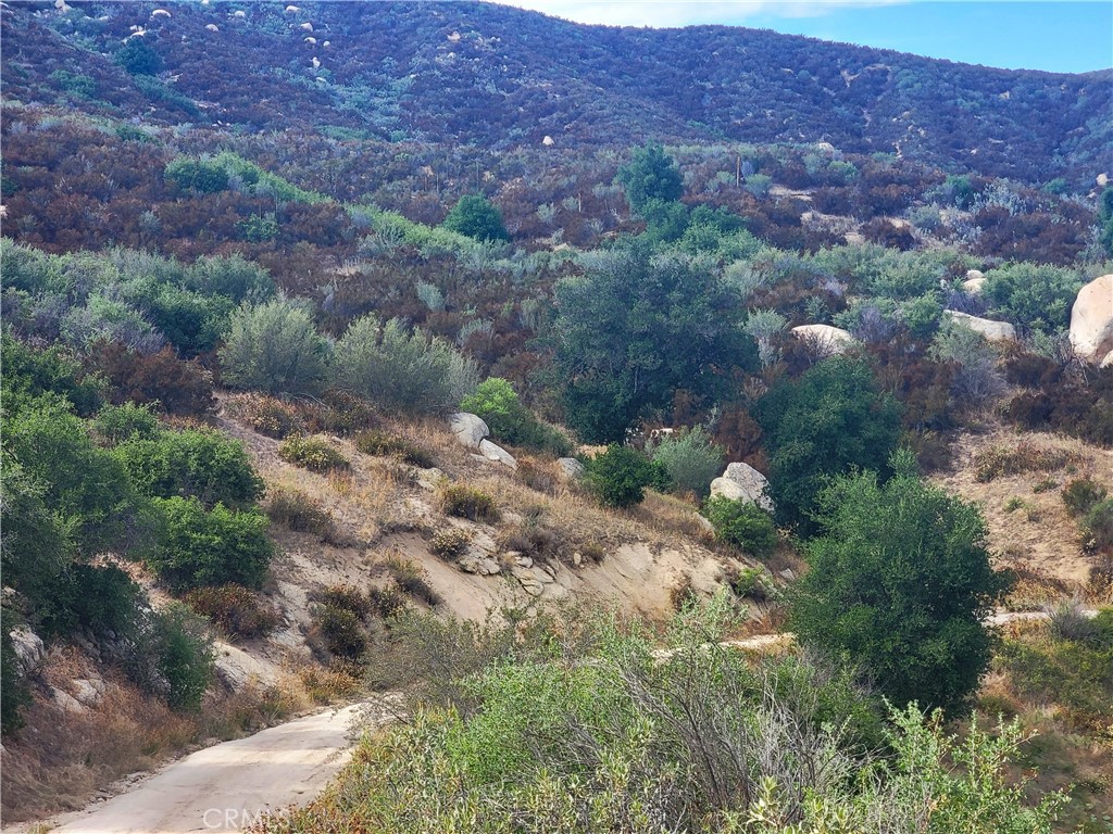 ,POPPET FLATS - Land