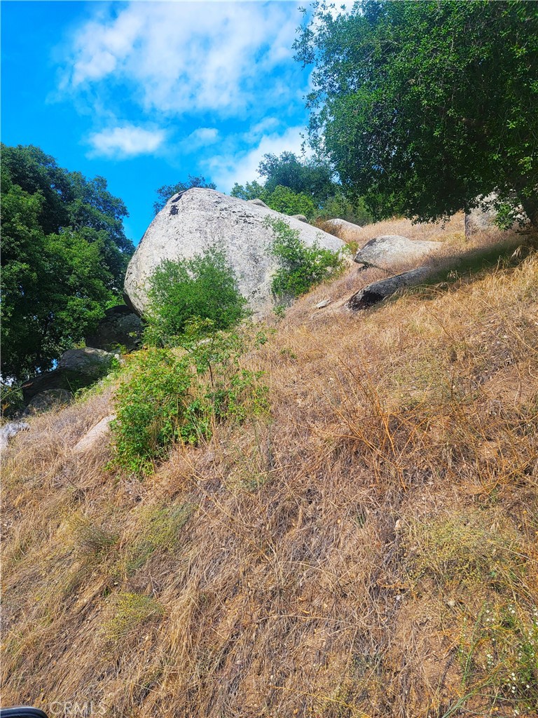 ,POPPET FLATS - Land