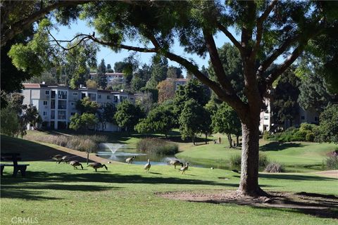 A home in Laguna Woods