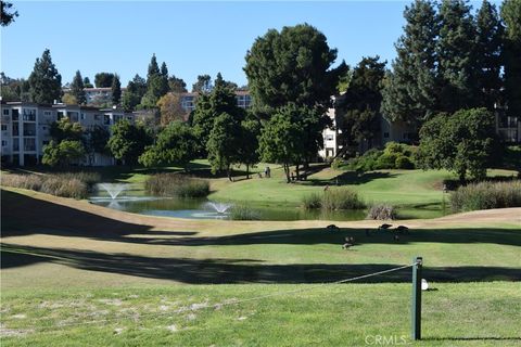 A home in Laguna Woods