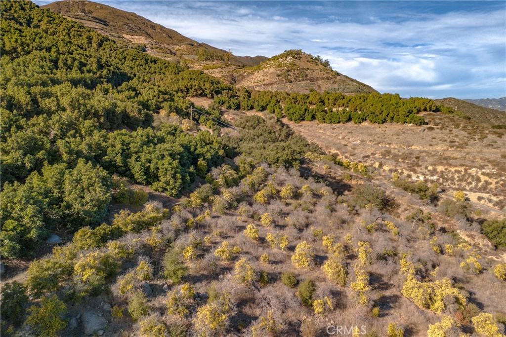 Situated in a serene and scenic location off Pauma Ridge Road, this 23.11-acre property offers the perfect combination of opportunity and tranquility. Featuring an excellent building site, this lot is ideal for constructing a prefab home or custom retreat. Located in an area with a rich history of citrus groves, the property boasts easy access to utilities, with power at the frontage and a water meter already in place. Adding to its appeal, the property includes a producing avocado grove that is professionally managed. Whether you're seeking a rural lifestyle or a smart agricultural investment, this property has everything you need to make your vision a reality.