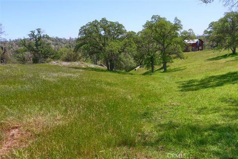 A home in Mariposa