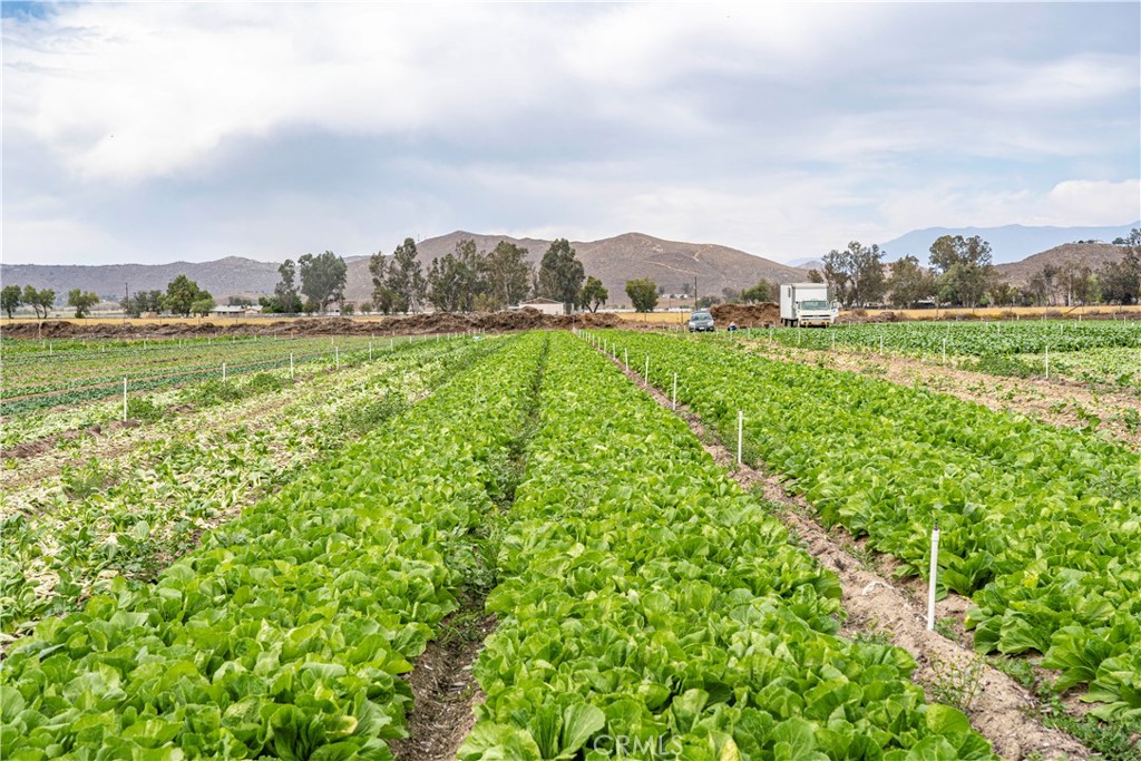 Welcome to 34250 Olive Ave, located in the THRIVING City of Winchester, Ca. This incredible property contains just under 40 Acres of land and is currently being used as an ACTIVE and INCOME GENERATING Farm. This is one of the few farms with full city water and full irrigation on all acres. This is the perfect DEVELOPMENT OPPORTUNITY! This flat usable land is perfect for new home development and is zoned Residential use. Located right off of Winchester Rd, this main street is nicely paved and allows for convenient travel to nearby shopping centers and eateries just minutes away! Don’t miss out on the opportunity of a lifetime to be a part of this rapidly growing city. Adjacent to other beautiful and growing cities, minutes off the 215 HWY and near Diamond Valley Lake, 34250 Olive Ave is the PERFECT OPPORTUNITY you have been searching for!