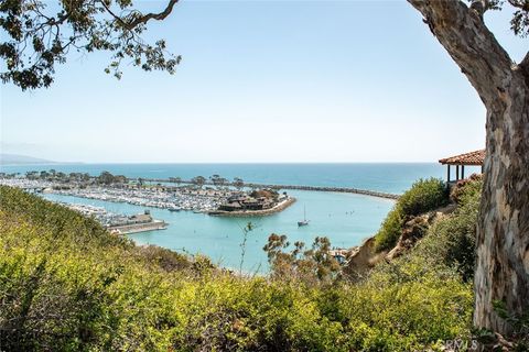 A home in Dana Point