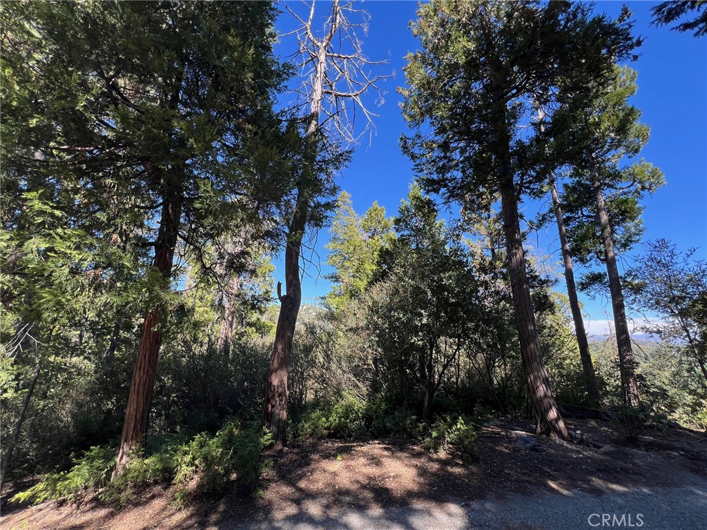 Arrowhead Woods (AWHW) - Land