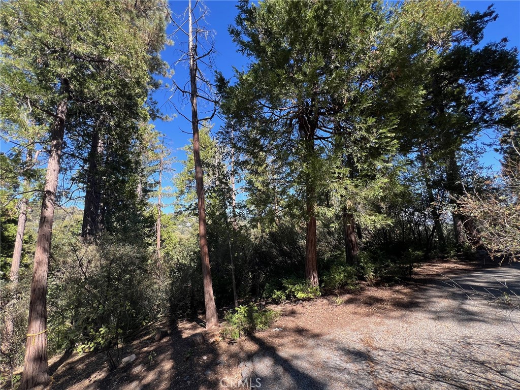 Arrowhead Woods (AWHW) - Land