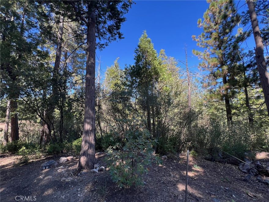 This lot offers the potential for amazing lakeviews and distant mountain views (see video and neighboring homes' view). Lot 99 is a vacant lot located on a gentle access road off Zurich. Reduced to $99,000. This vacant lot is within Arrowhead Woods and has lake rights!