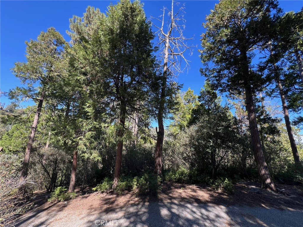 Arrowhead Woods (AWHW) - Land