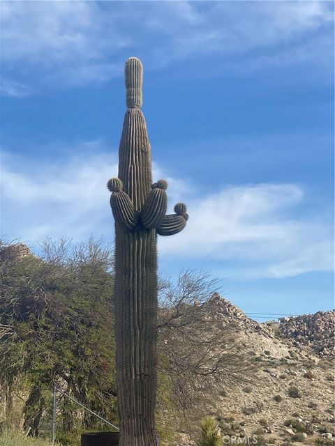 A home in Yucca Valley