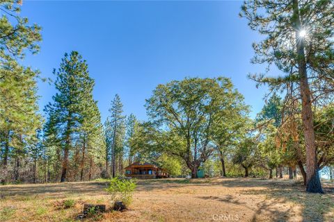 A home in Berry Creek