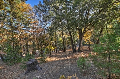 A home in Cedarpines Park