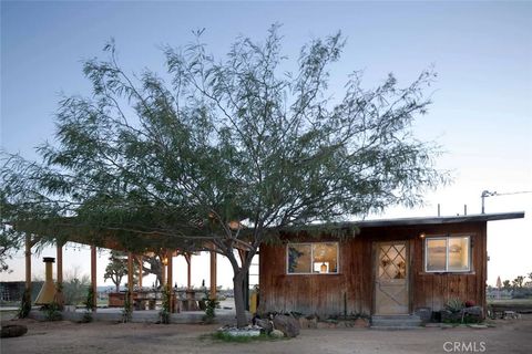 A home in Joshua Tree