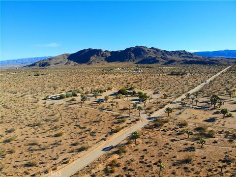 A home in Joshua Tree