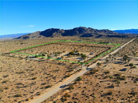 A home in Joshua Tree