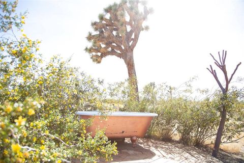 A home in Joshua Tree