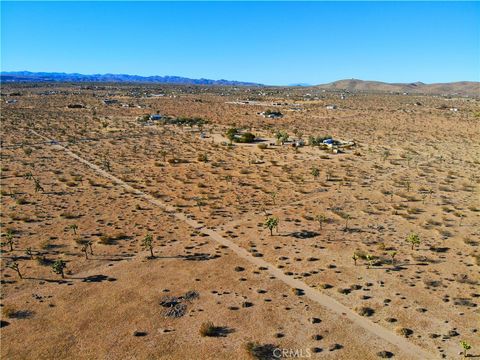 A home in Joshua Tree