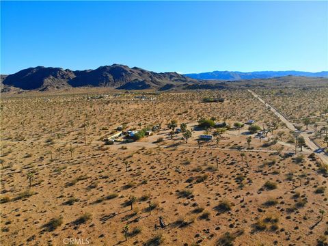 A home in Joshua Tree