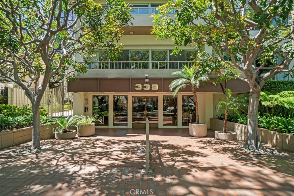 339 N Palm Drive 204