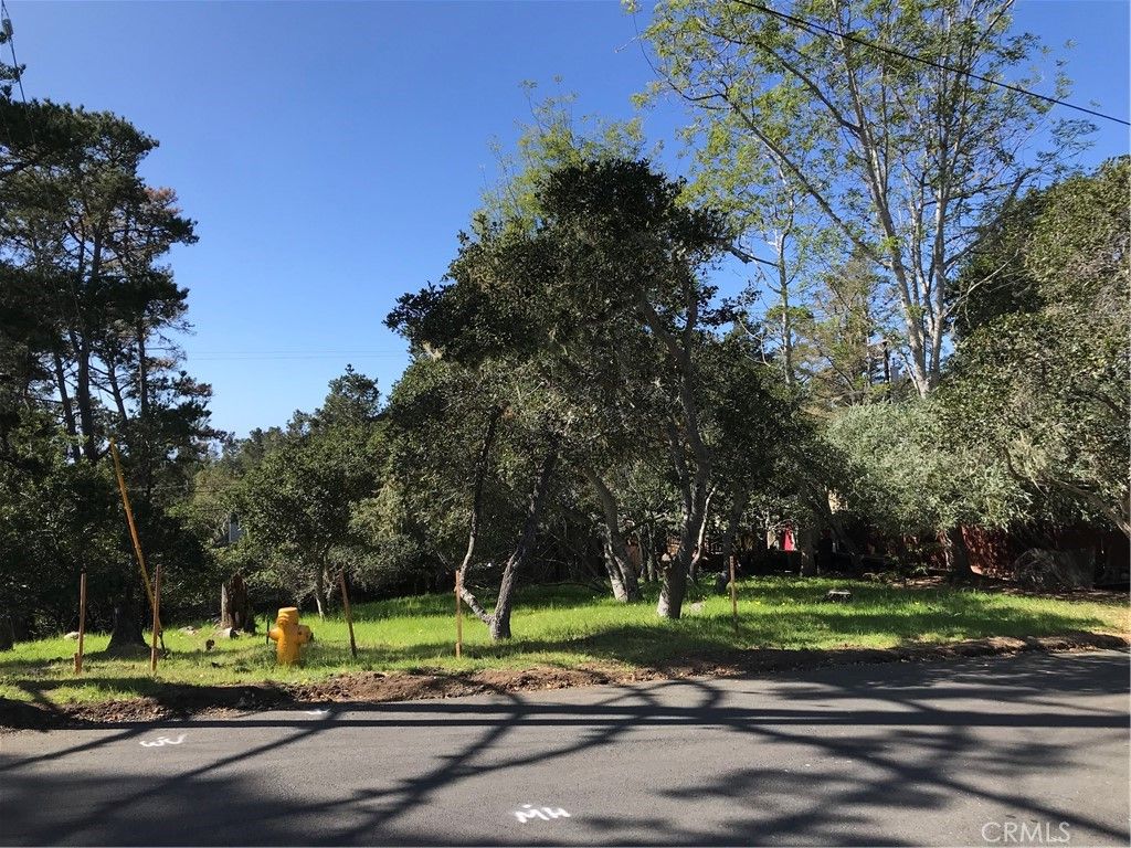 listing image 130721493715660708469