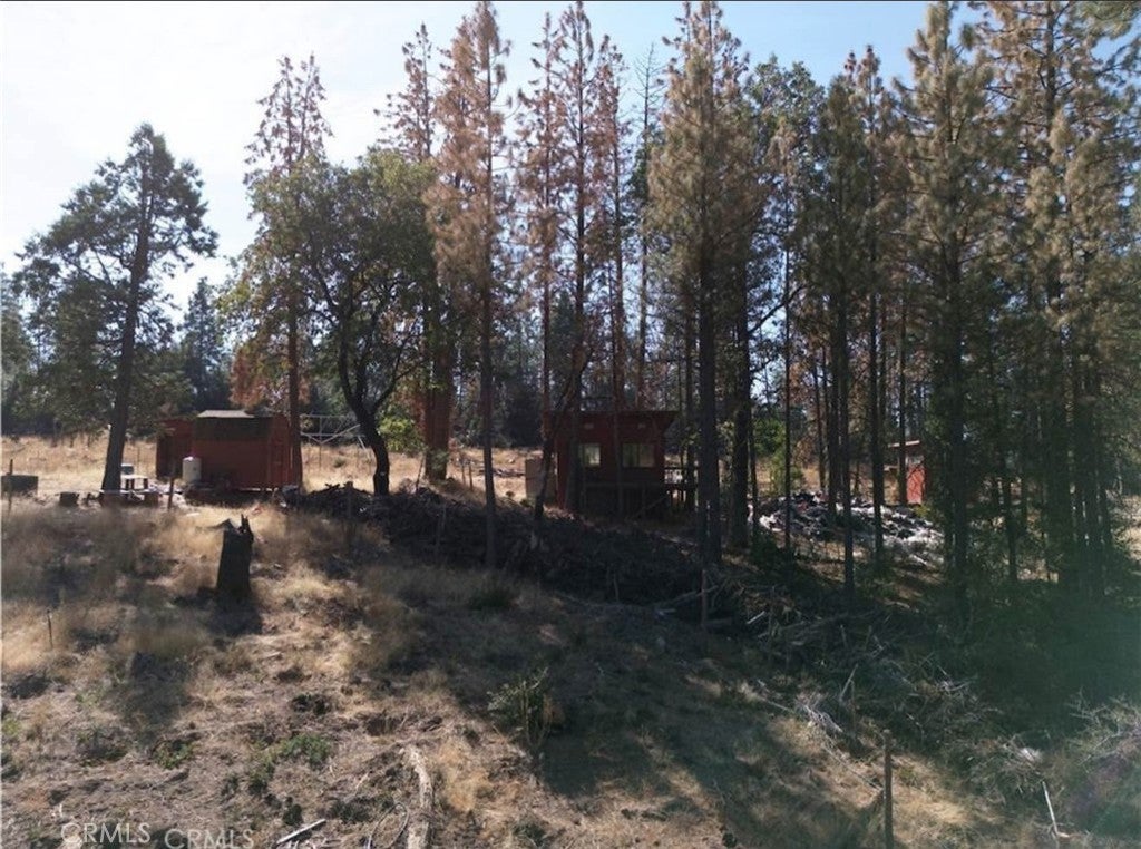 5901 Manton Ponderosa Way