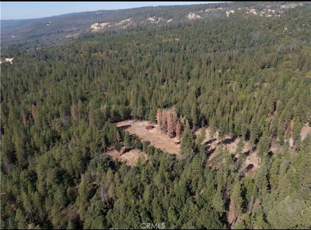 5901 Manton Ponderosa Way