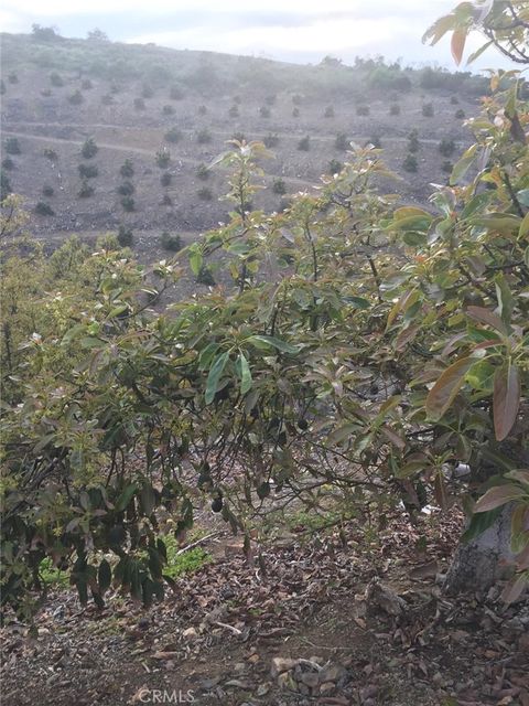 0 Via Barranca Temecula CA 92590