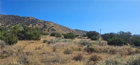 Photo of 0 Soledad Pass Road, Acton, CA 93510 (MLS # SR23191729)