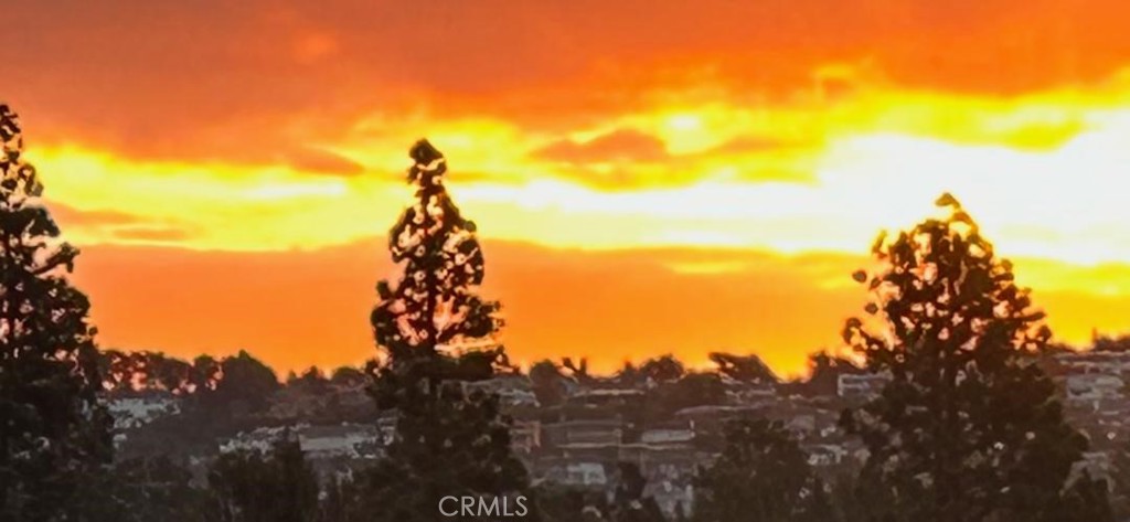 Big Canyon Custom (BCCS) - Residential