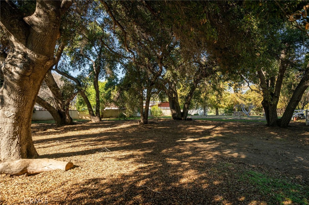 Custom Sand Canyon (CSAND) - Residential