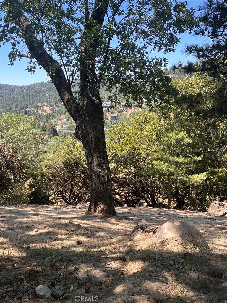 Arrowhead Woods (AWHW) - Land