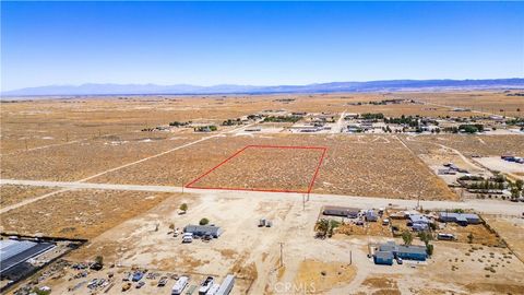Photo of 0 Holiday Ave, Rosamond, CA 93560 (MLS # SR24172824) Photo of 0 Holiday Ave, Rosamond, CA 93560 (MLS # SR24172824)